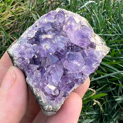 Small Amethyst Clusters