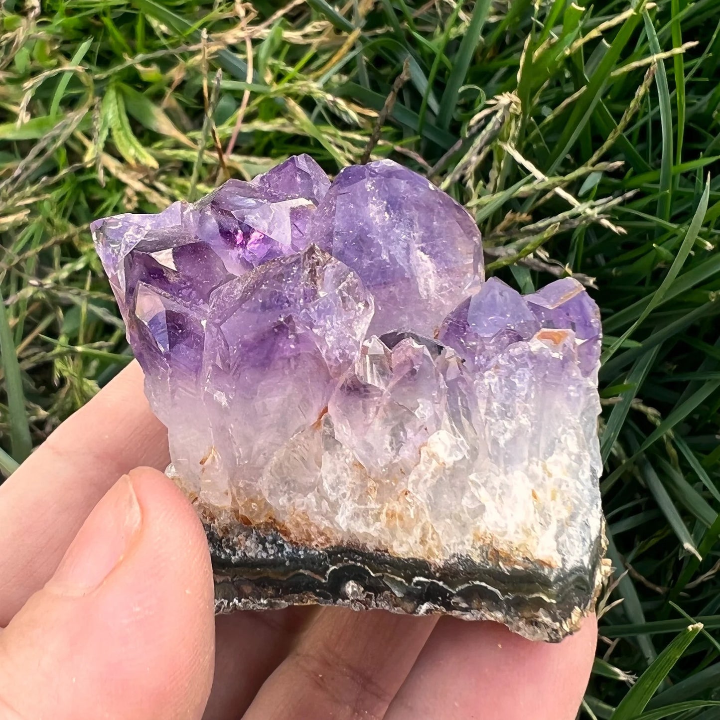 Small Amethyst Clusters