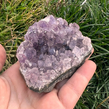 Small Amethyst Clusters