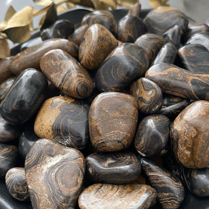 Stromatolite Tumbled Stones