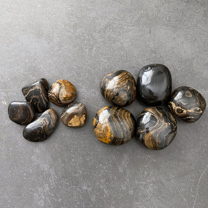 Stromatolite Tumbled Stones