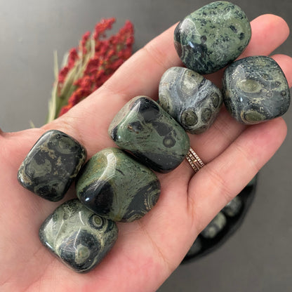 Kambaba Jasper Tumbled Stones