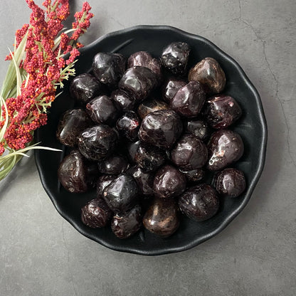 A black plate is filled with glossy, dark purple jamun (Indian blackberries) on a gray stone surface. To the left of the plate, there is a sprig of red berries and green leaves, resembling Garnet Tumbled Stones, adding a touch of color.