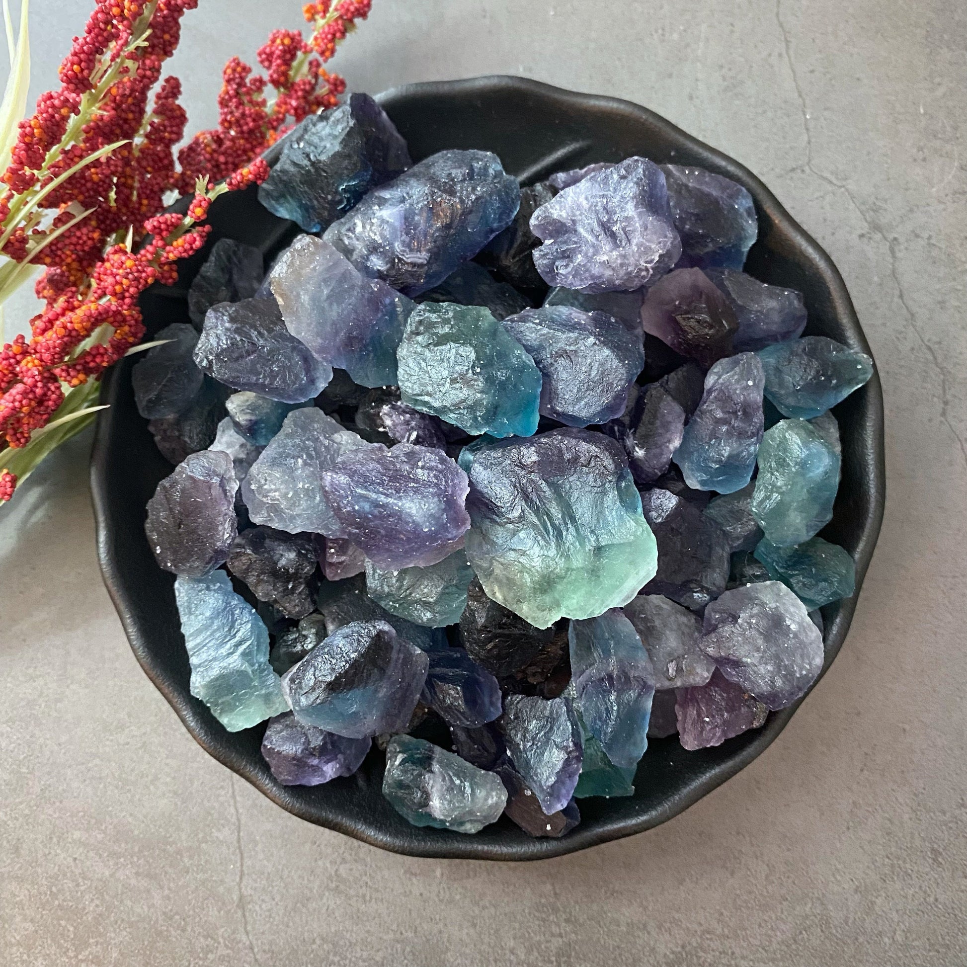 A black bowl filled with Raw Fluorite Crystal stones, ranging in hues from deep purple to light green and blue. Known for their brain-boosting properties, the colorful crystals sit on a gray surface, with a sprig of red berries arranged to the left.