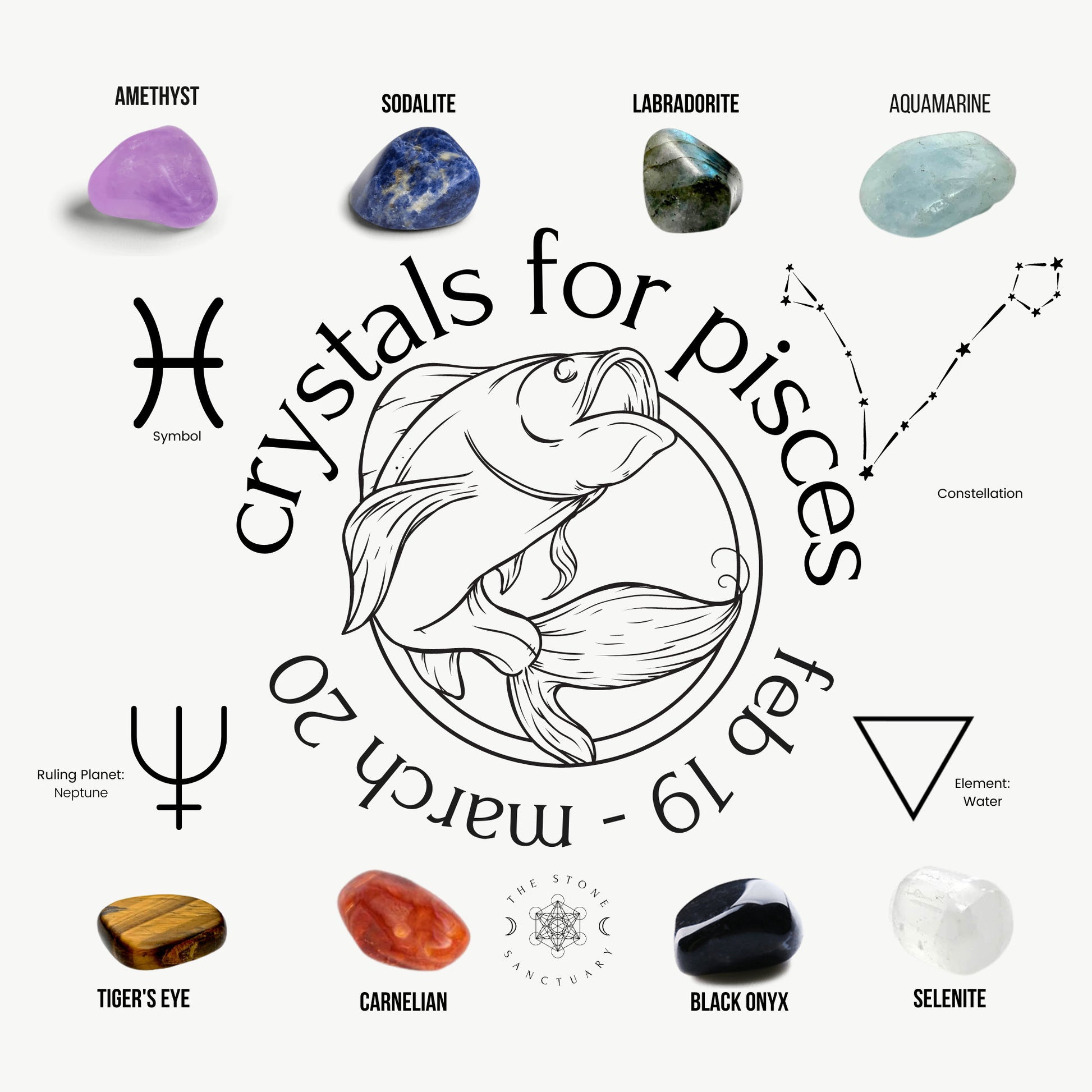 Illustrated chart showcasing 7 Chakra Crystals For Pisces with a central fish illustration and the text "crystals for pisces" along with the date range "Feb 19 - Mar 20." Features images and names of nine crystals: Amethyst, Sodalite, Labradorite, Aquamarine, Tiger's Eye, Carnelian, Black Onyx, and Selenite. Includes Pisces symbol, constellation, ruling