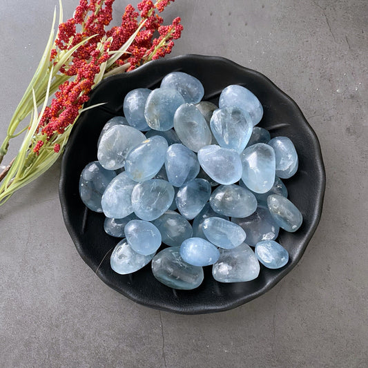 A black bowl filled with smooth, translucent Celestite Tumbled Stones sits on a gray surface. To the left of the bowl are red dried flowers with green stems, adding a contrasting color to the composition. The healing crystals enhance the serene ambiance of the scene.