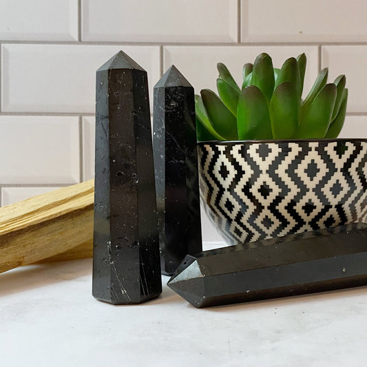 A close-up photo of four 3-4" Black Tourmaline Points of varying heights placed on a white surface forms an energy generator. A geometric patterned black and white bowl with a green succulent plant sits in the background. Wood sticks are positioned beside the tallest crystal.