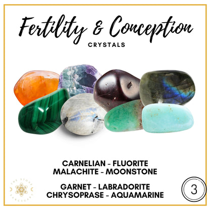 Fertility Crystal Kit