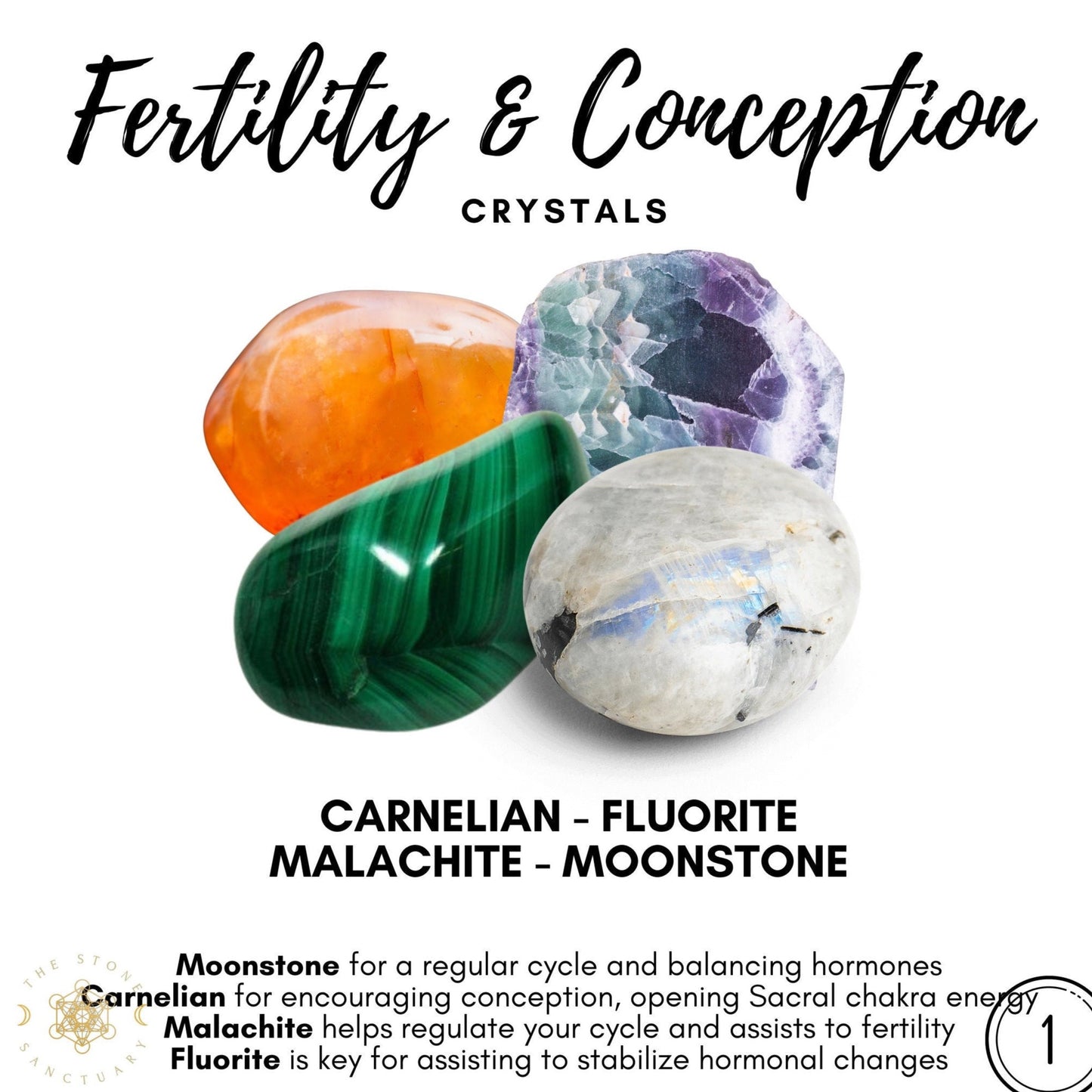 A Fertility Crystal Kit: Carnelian, Fluorite, Malachite, and Moonstone. The text above reads "Fertility & Conception Crystals." Below, descriptions for each crystal highlight benefits like cycle regulation, Sacral chakra alignment, and balance hormones.