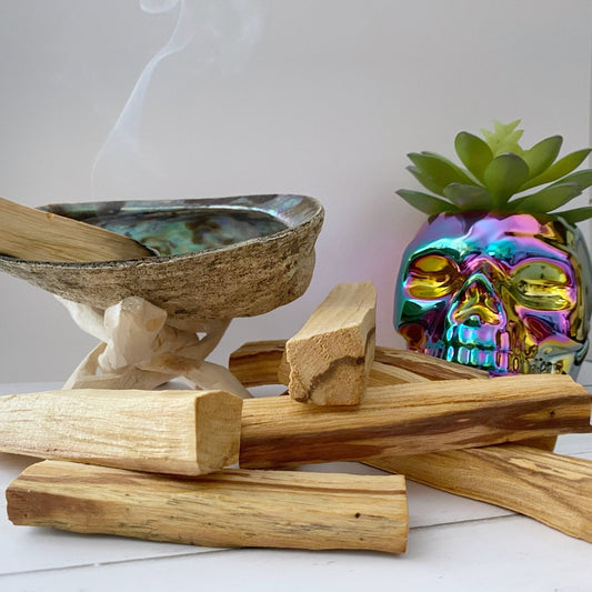 A collection of Palo Santo Sticks, perfect for spiritual rituals, are arranged in the foreground. An abalone shell, slightly smoking with incense, sits upon a stand. Behind it, a vibrant, iridescent skull-shaped vase holds a green succulent against a white background.