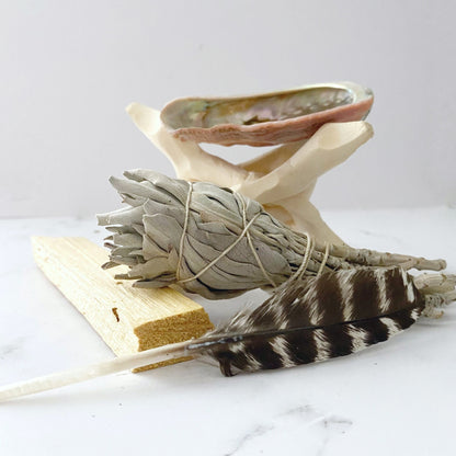 A small bundle of white sage, a piece of palo santo, and two feathers are arranged on a white surface. An abalone shell sits on a wooden stand in the background. The collection suggests elements used in smudging or spiritual cleansing rituals, forming an ideal Mini Smudge Beginner Kit.