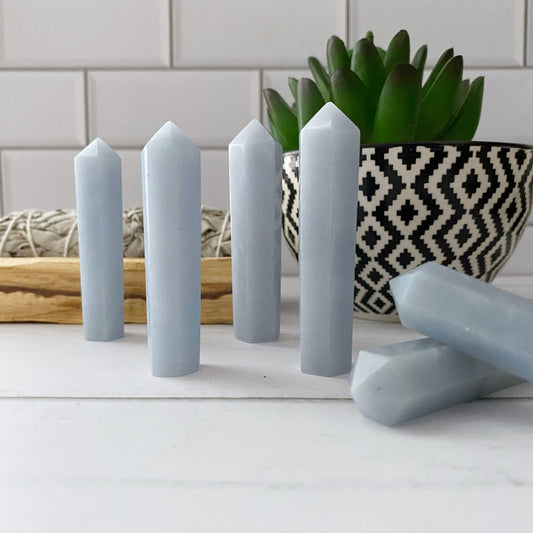 The image shows five 2-3" Angelite Crystal Points standing upright on a white surface, with a black and white patterned bowl containing a green succulent plant in the background. A wooden tray with bundled sage, perfect for psychic healing, is also visible on the left side.