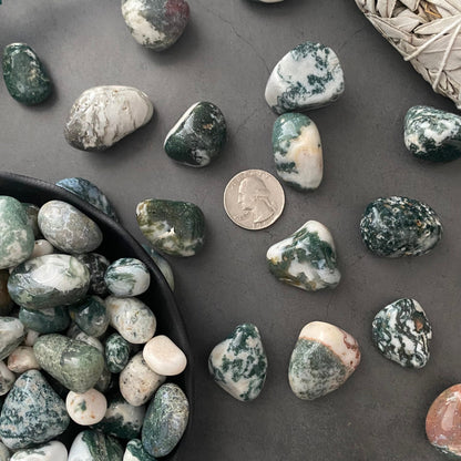 Tree Agate Tumbled Stones