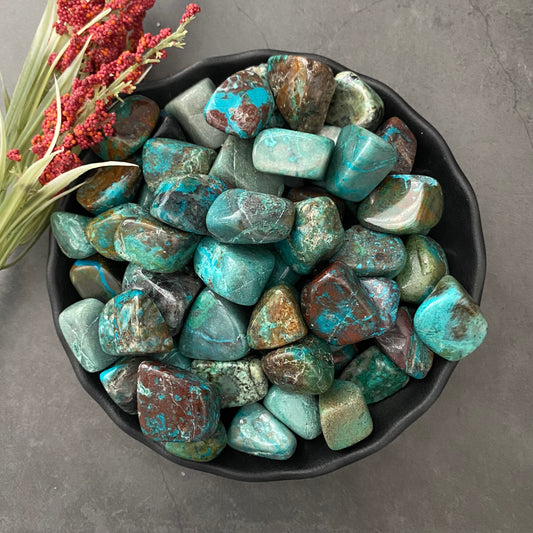 A black bowl is filled with Chrysocolla Tumbled Stones of various shapes and sizes, displaying natural patterns in turquoise-blue color. The bowl is placed on a gray surface. A small bunch of red and green foliage rests beside the bowl.