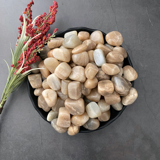 A black bowl filled with smooth, rounded beige and light grey stones, including serene Multi Moonstone Tumbled Stones, is placed on a dark surface. To the left of the bowl, there is a sprig of red berries and green leaves. This tranquil arrangement fosters inner growth and emotional stability.