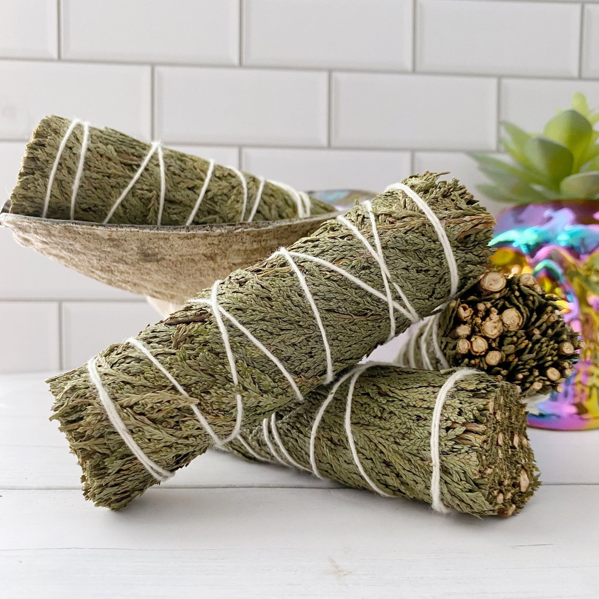 Three bundles of Organic Cedar Sage Smudge Stick, ideal for energy cleansing, are wrapped in white string and displayed on a white surface. One bundle rests on a seashell, while the others lie in front. In the background, a partially blurred colorful container with a plant adds a pop of color against the white subway tile backdrop.