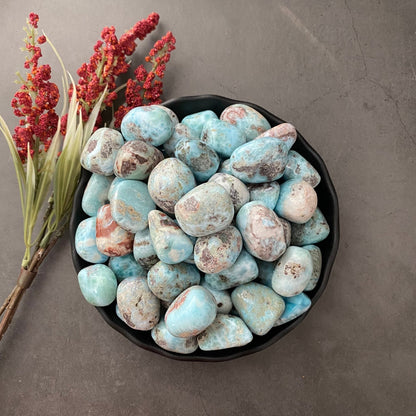 A black bowl filled with smooth, polished blue stones of various sizes. Among them lies one of the Larimar Tumbled Stones, known for its healing power. Beside the bowl, a vibrant arrangement of red and green foliage rests on a gray, textured surface.