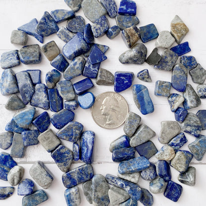 Lapis Lazuli Crystal Chips