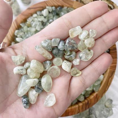 Prehnite Crystal Chips