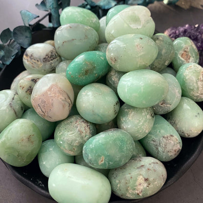 Chrysoprase Tumbled Stones