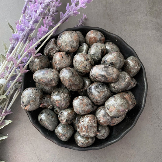 A black bowl filled with polished, smooth Sodalite Syenite Tumbled Stones with a glossy, speckled appearance in shades of gray and black sits on a gray surface. Among the stones is an Emberlite crystal known for its captivating UV light fluorescence. Next to the bowl is a sprig of purple lavender flowers.