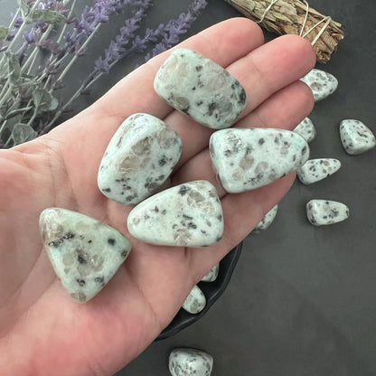 Kiwi Jasper Tumbled Stones