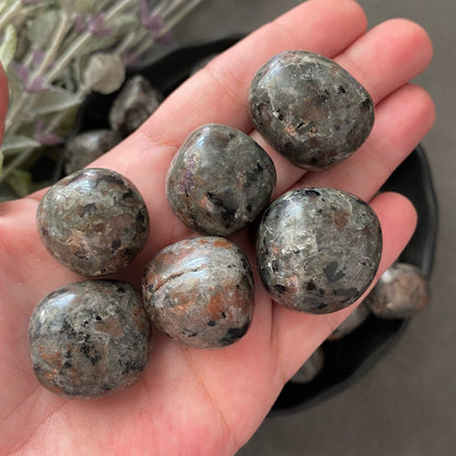 Sodalite Syenite Tumbled Stones