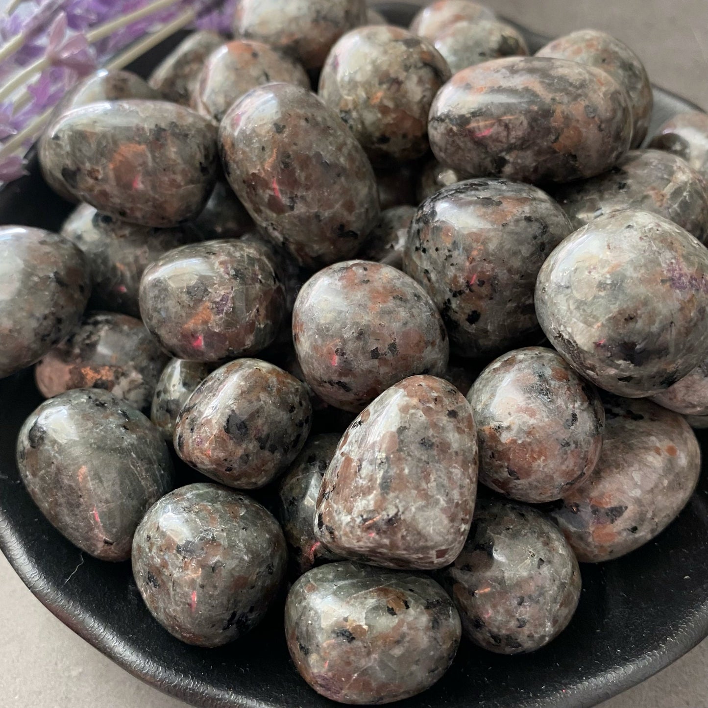 Sodalite Syenite Tumbled Stones