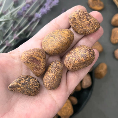 Calligraphy Jasper Tumbled Stones