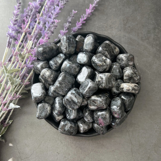 A bowl filled with polished, dark-colored Larvikite Tumbled Stones sits on a gray surface. The stones have a glossy finish and a varied, marbled appearance. Sprigs of lavender with light purple flowers lie beside the bowl, evoking an aura of inner transformation and enhanced psychic abilities.