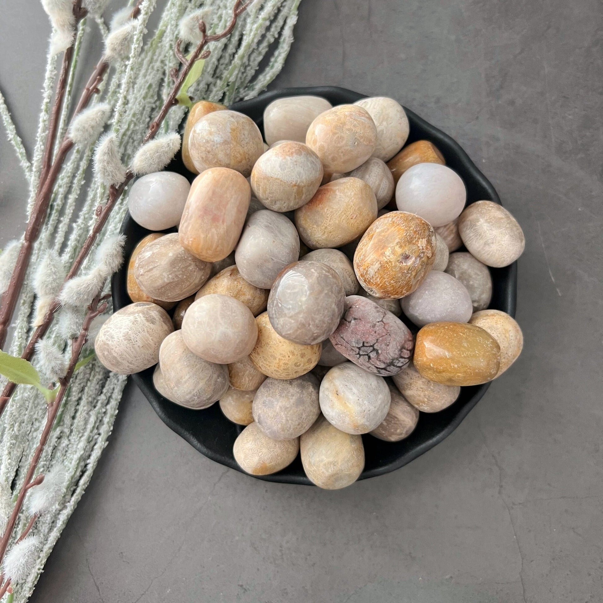 A black bowl filled with Fossilized Coral Tumbled Stones in various shades of beige, brown, and gray sits on a gray surface. Next to the bowl are branches of frosty pussy willows, adding a natural touch to the scene, as if curated by an emotional healer using fossilized coral elements.