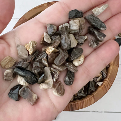 Petrified Wood Crystal Chips