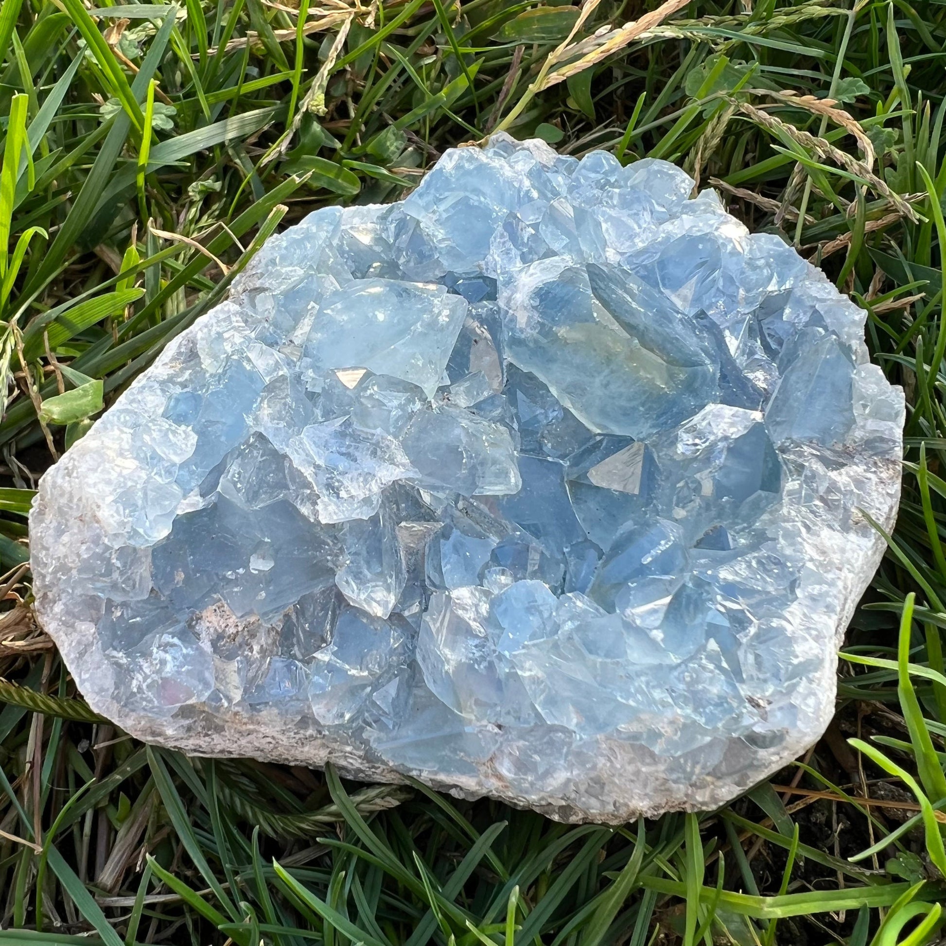 A 1-2 lbs Large Celestite Cluster sits on a patch of vibrant green grass. The crystal features multiple, sharp-edged facets that catch the light, creating a sparkling effect reminiscent of the angelic realm.