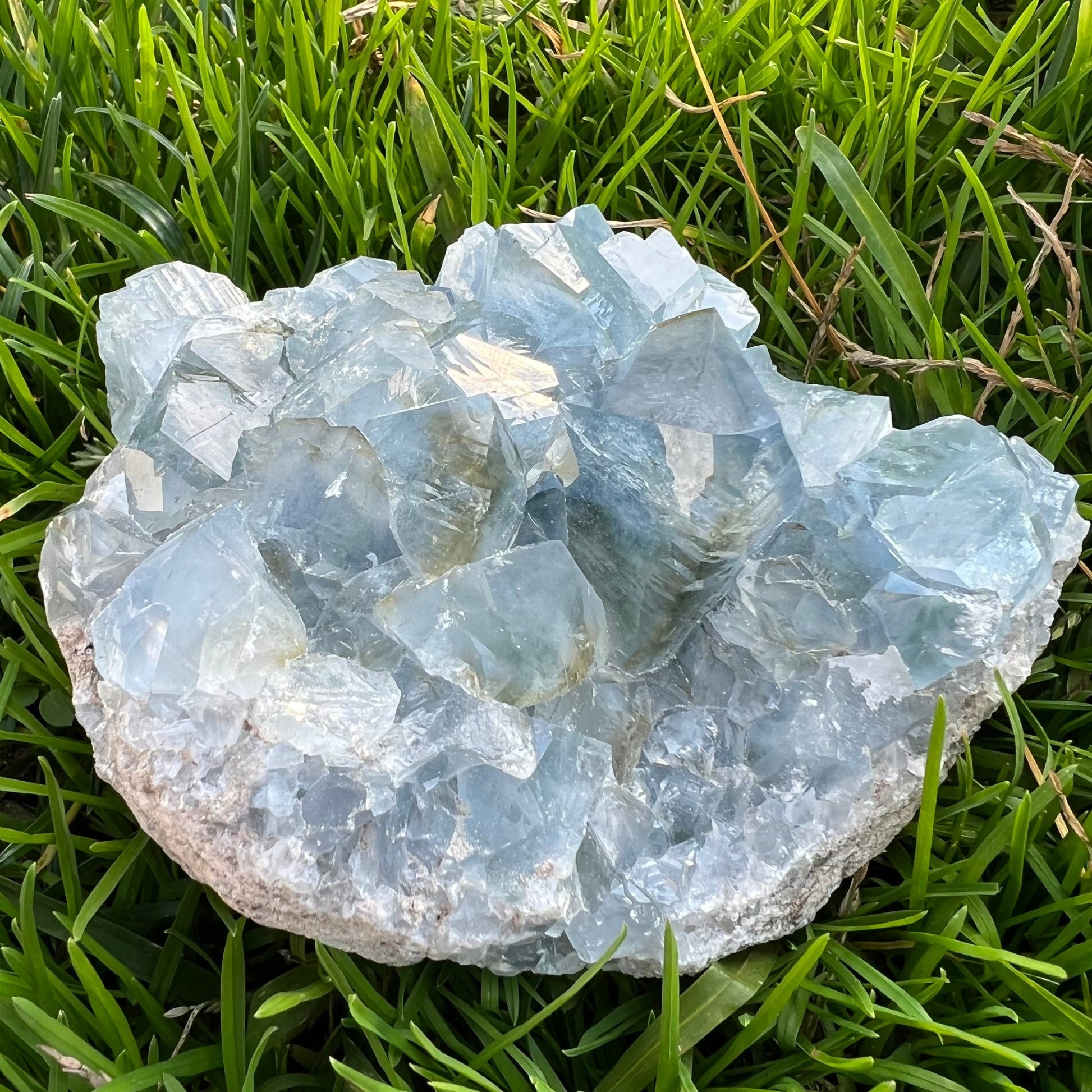 A 1-2 lbs Large Celestite Cluster sits on a patch of vibrant green grass. The crystal features multiple, sharp-edged facets that catch the light, creating a sparkling effect reminiscent of the angelic realm.