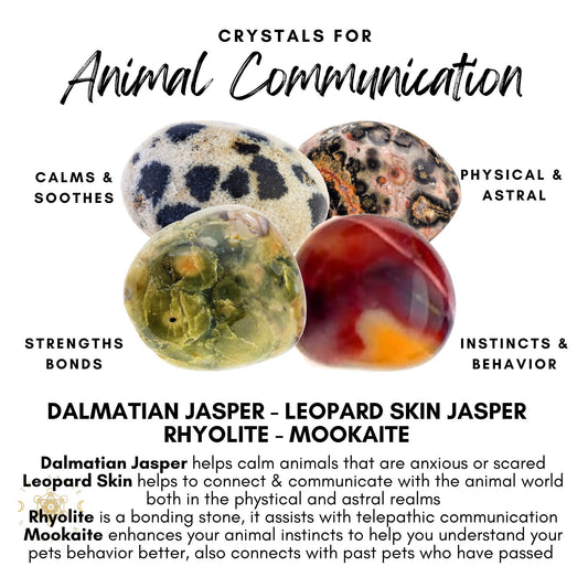 A circular collage of four healing crystals for pets, each labeled: Dalmatian Jasper, Leopard Skin Jasper, Rhyolite, and Mookaite. This Animal Communication Crystal Kit is designed to aid in calming, bonding, and telepathic communication with animals.