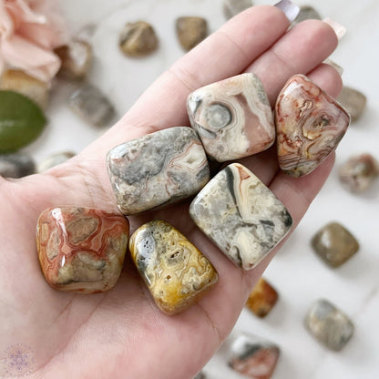 A wooden bowl filled with polished, multicolored stones. Among them are Crazy Lace Agate Tumbled Stones, exhibiting various patterns and shades of grey, brown, red, and beige that showcase their natural swirls and striations.