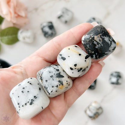 Tourmalated Quartz Tumbled Stones