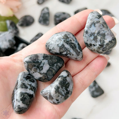 Indigo Gabbro Tumbled Stones