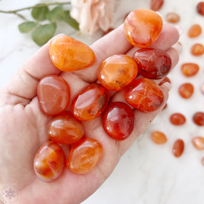 A round wooden bowl filled with polished, oval-shaped Carnelian Tumbled Stones in varying shades of orange, red, and brown. The stones have a glossy finish and are arranged closely together, showcasing their natural patterns and hues. These fertility crystals enhance motivation. The bowl is set against a white background.