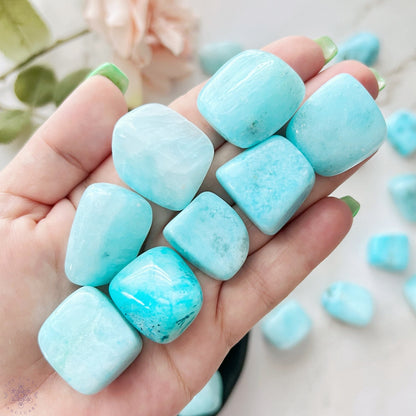 Blue Aragonite Tumbled Stones