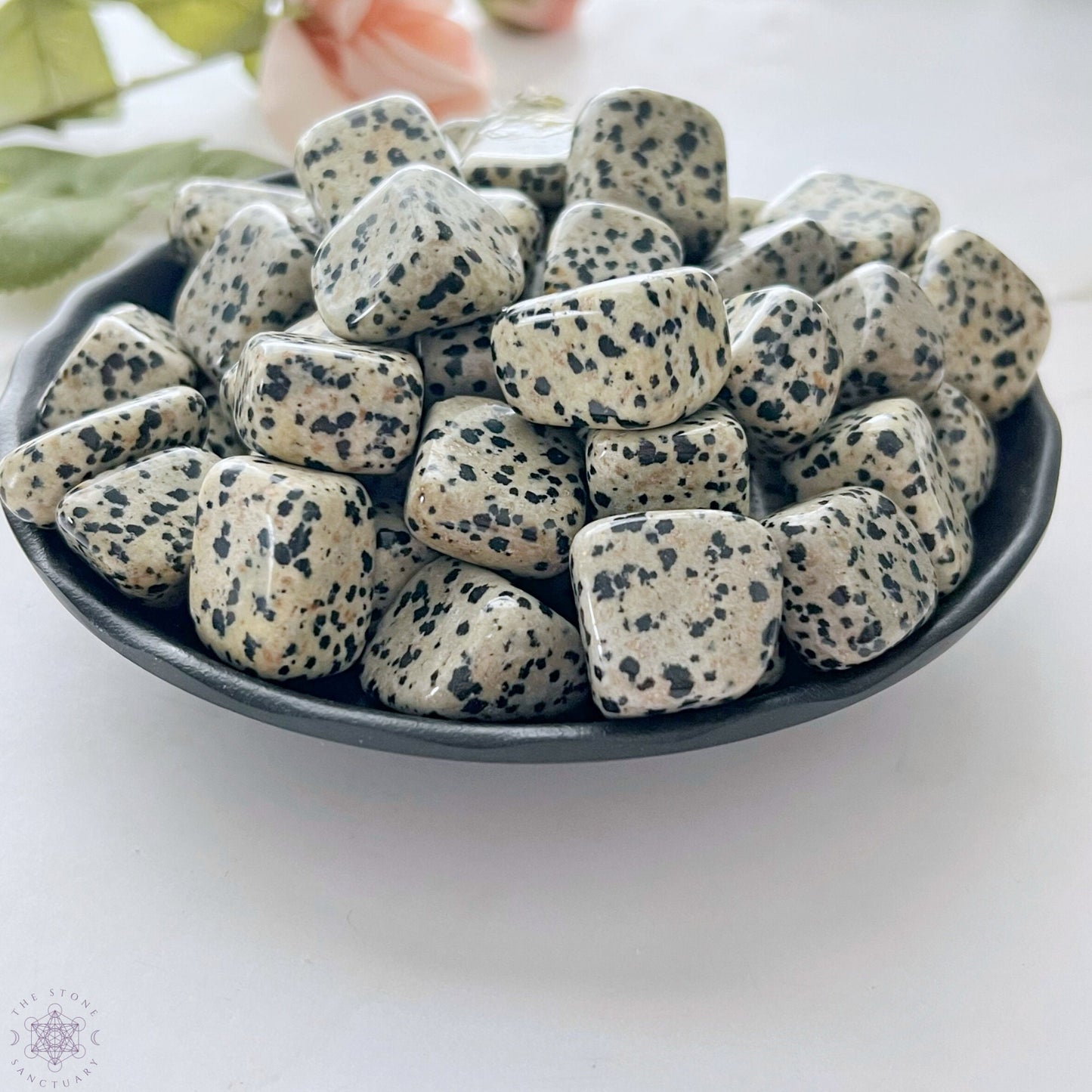 Dalmatian Jasper Tumbled Stones