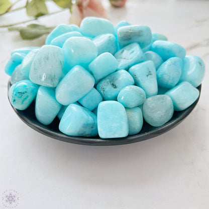 Blue Aragonite Tumbled Stones