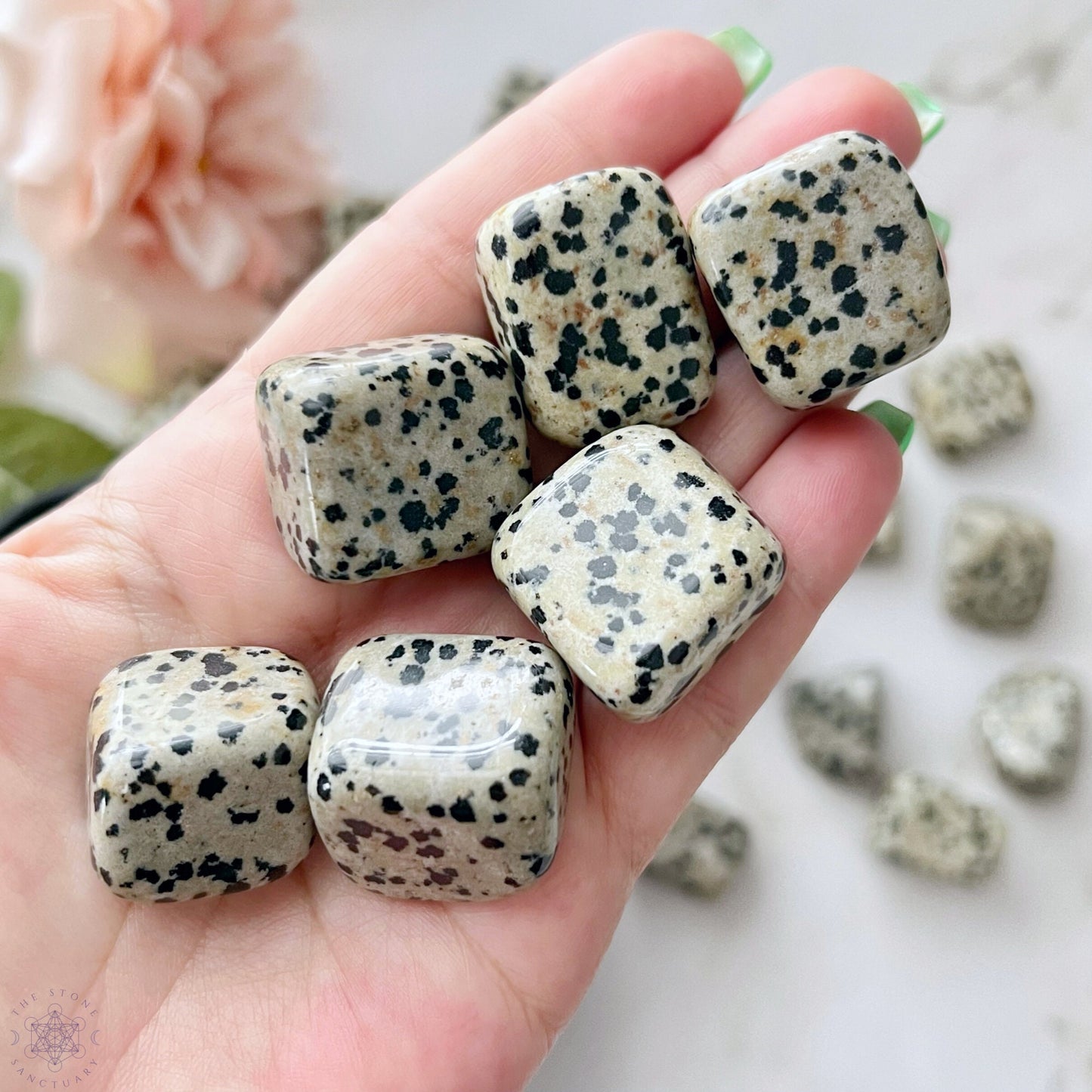 A wooden bowl filled with polished Dalmatian Jasper Tumbled Stones sits on a white background. The stones, light gray with black speckles, resemble the coat pattern of a Dalmatian dog and are known as a calming crystal for overthinkers.