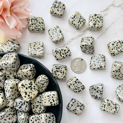 Dalmatian Jasper Tumbled Stones