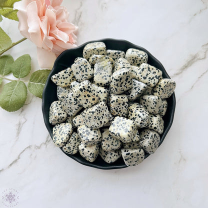 Dalmatian Jasper Tumbled Stones