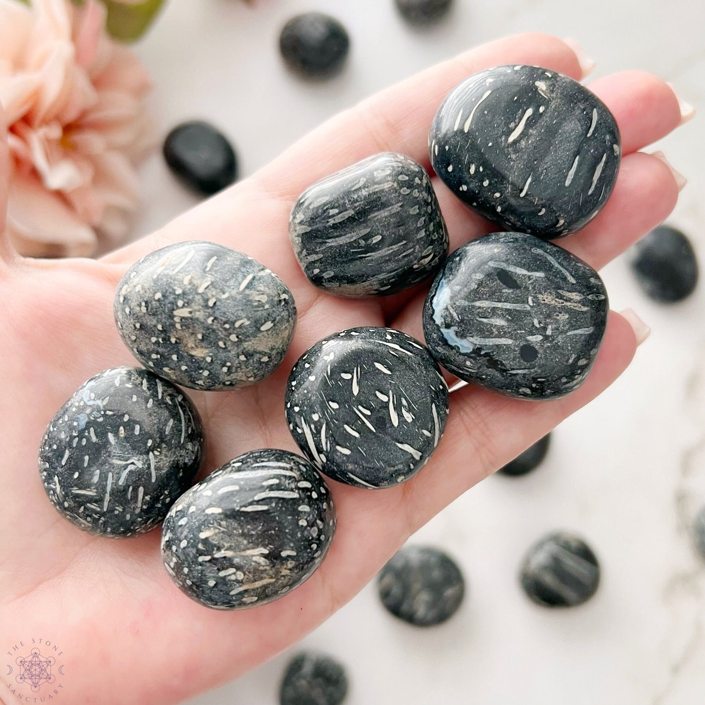 A wooden bowl is filled with smooth, polished Crinoid Fossil Tumbled Stones. The stones are speckled with white, resembling stars scattered across a night sky. The bowl's natural wood grain provides a contrasting backdrop to the glossy stones, evoking a sense of spiritual growth and tranquility.