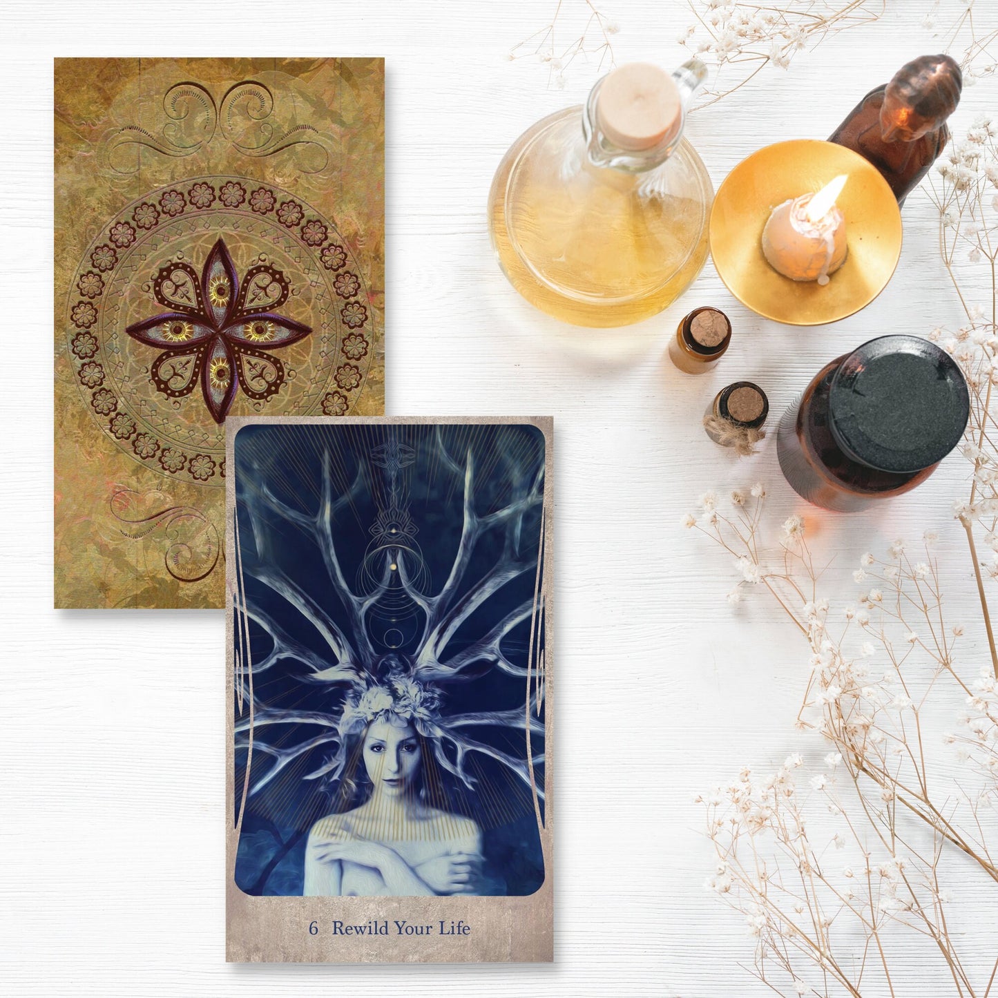 Divine Nature Oracle Card Deck & Book Set