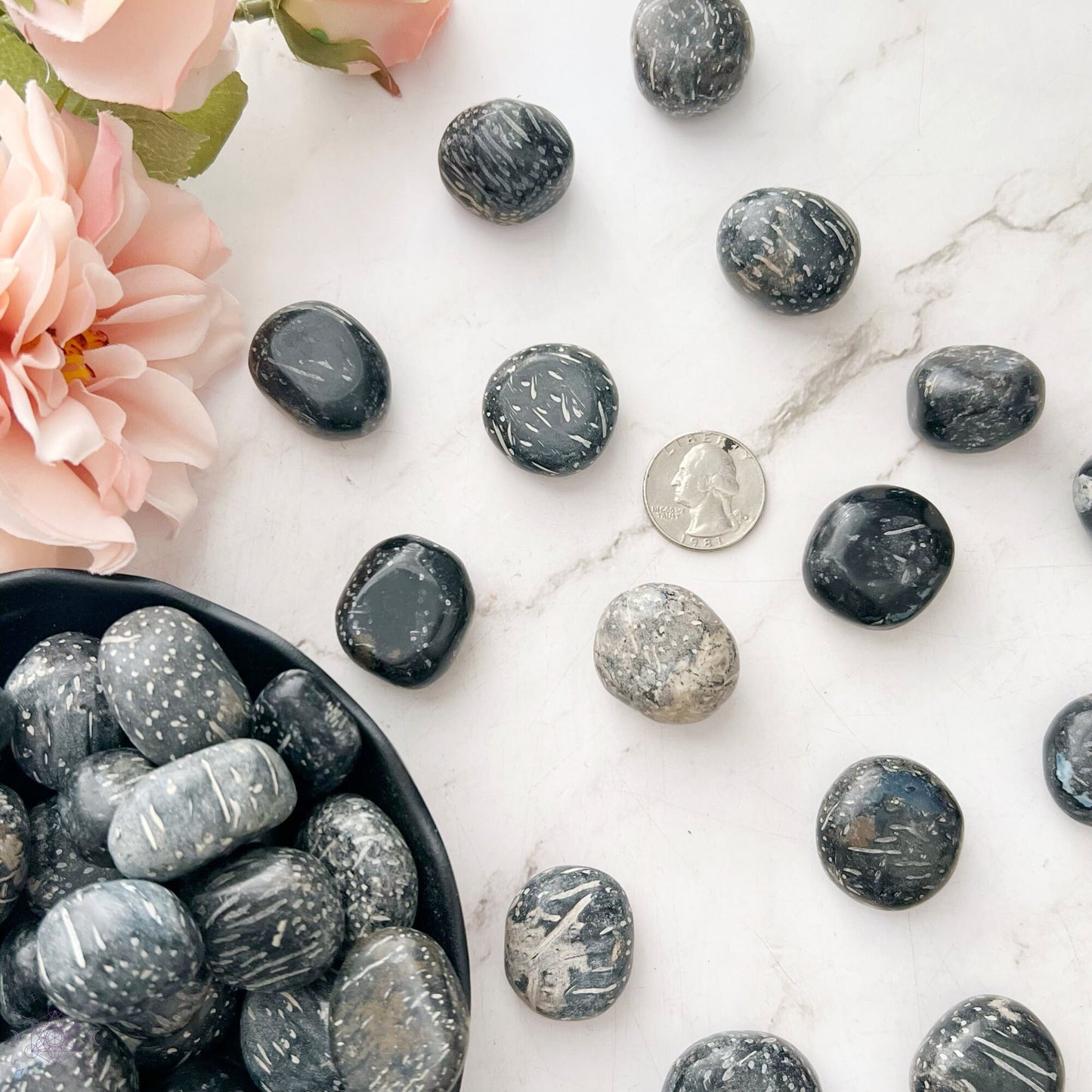 Crinoid Fossil Tumbled Stones