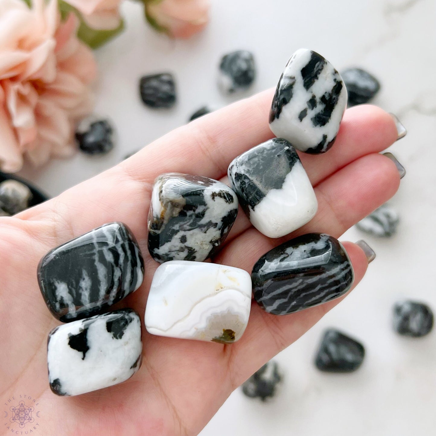 A wooden bowl filled with Zebra Jasper Tumbled Stones, exhibiting black and white marbled stones against a white background. The stones vary in size and have a glossy finish, showcasing intricate patterns that offer both beauty and stress relief.