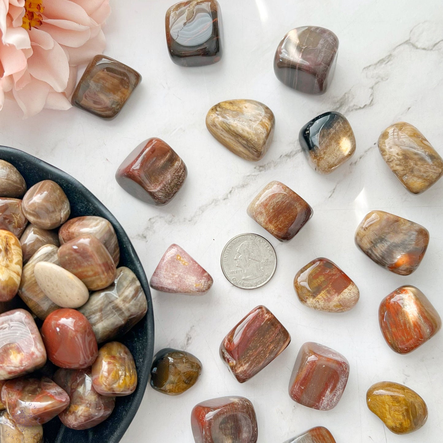 Petrified Wood Tumbled Stones